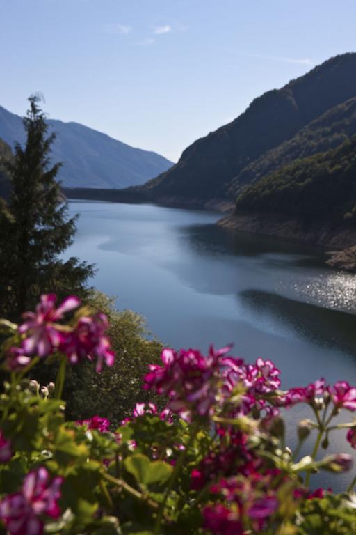 Hotel Al Lago Vogorno Экстерьер фото